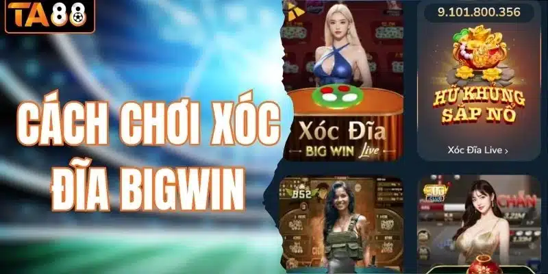 Cách chơi xóc đĩa Bigwin